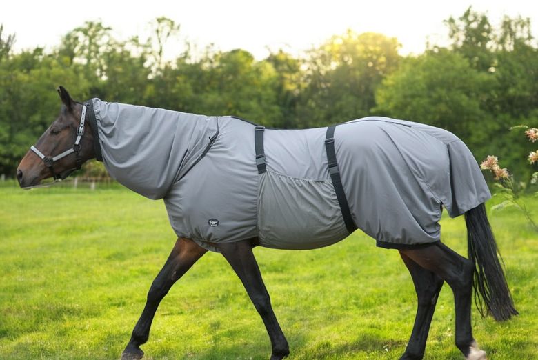 Se Ci Sono Le Mosche In Febbraio, Bisogna Scaldarsi Le Orecchie A Marzo - Foto 8